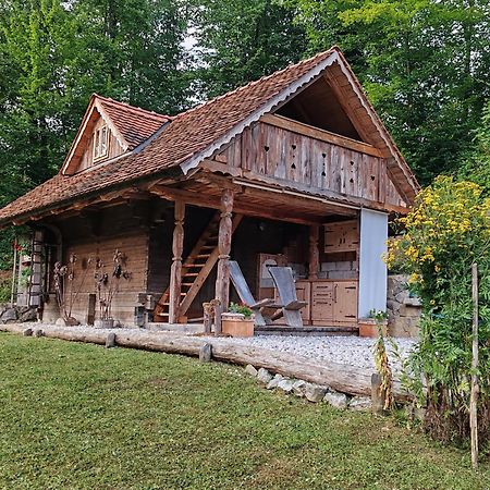 Apartma Kasca Domzale Exterior photo