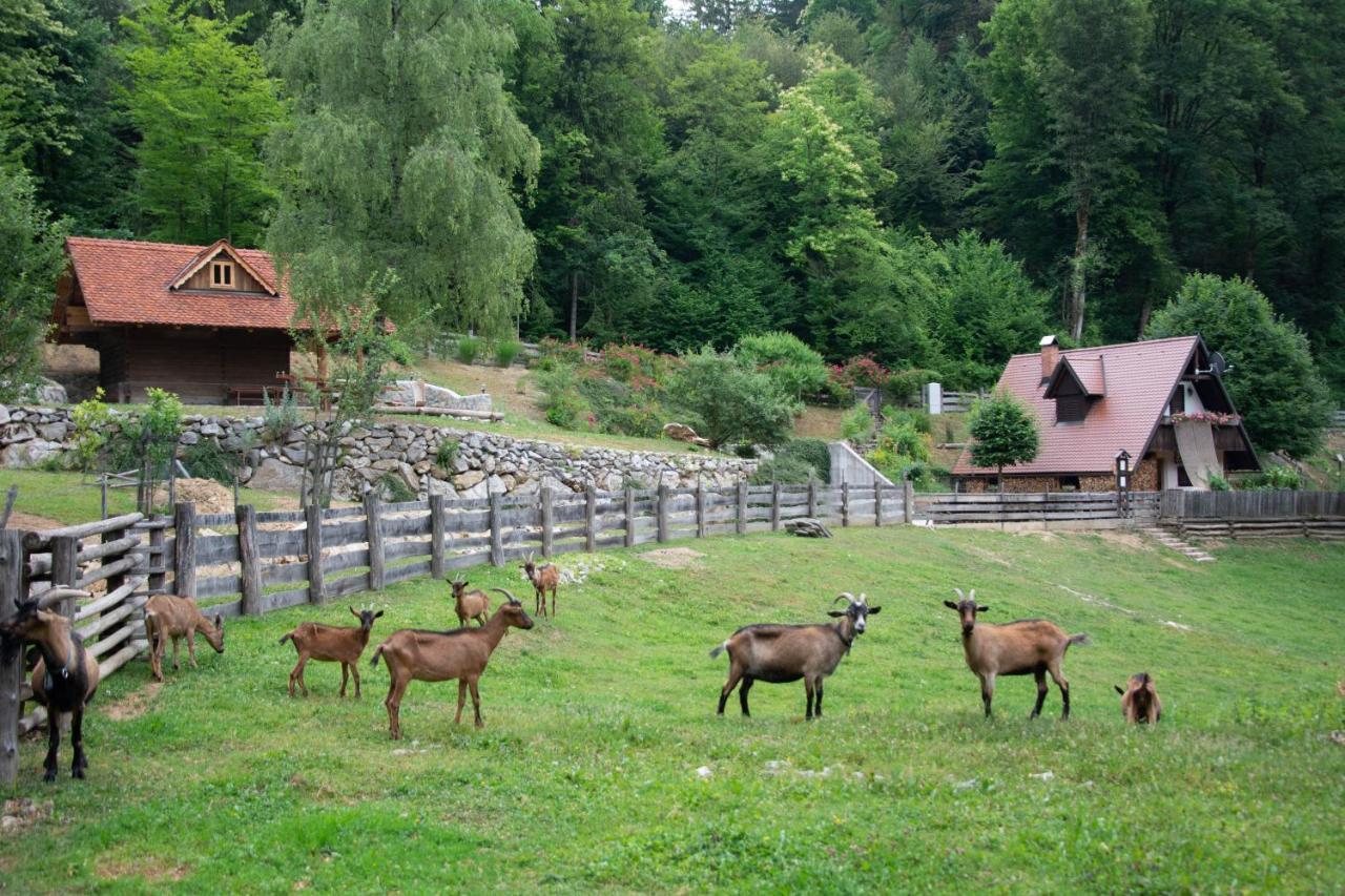Apartma Kasca Domzale Exterior photo